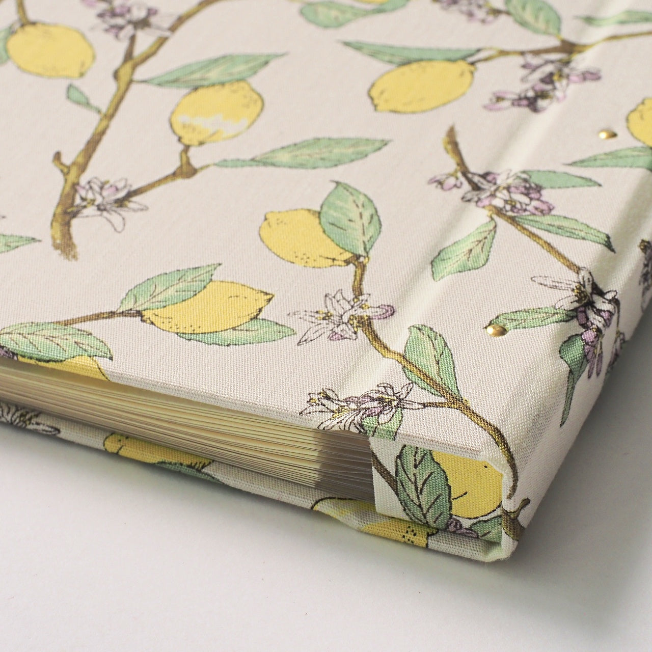 Goshuin holder (spread size) "Kiyora" morning cool lemon/light white